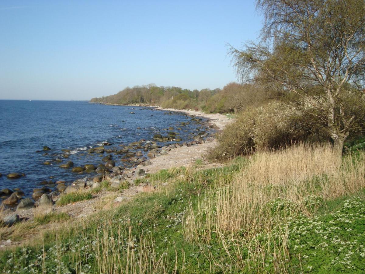 Guest Cottege Villa Ystad Exterior photo